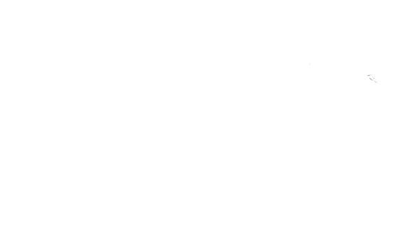 Carrera de la mujer