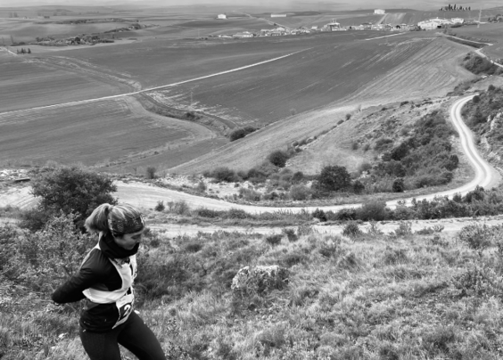 Foncea Trail                                                  